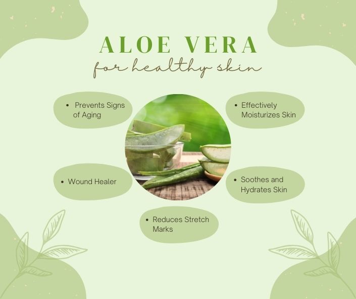 Aloe Vera for Healthy Skin