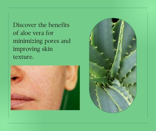 Aloe vera unclog Pores